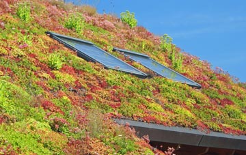 Terriers living roof systems