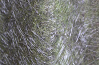 Terriers fibreglass roof work